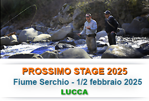 prossimo-stage-widget